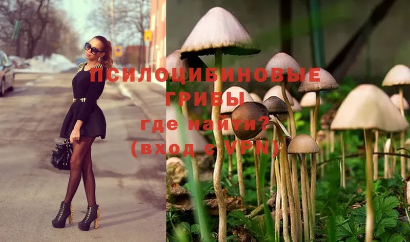 Галлюциногенные грибы MAGIC MUSHROOMS  где найти   Белая Калитва 