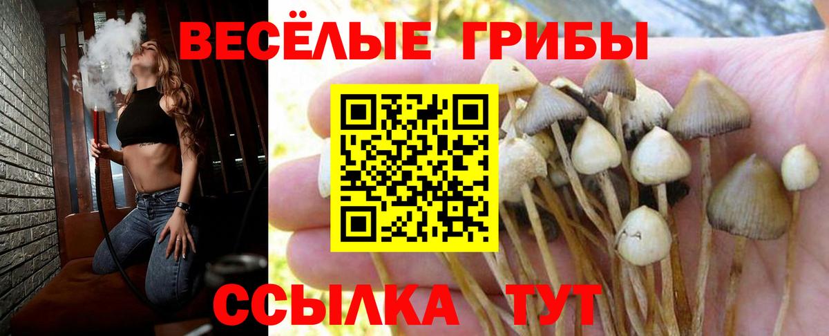 Галлюциногенные грибы мухоморы  Вход с VPN  Белая Калитва 
